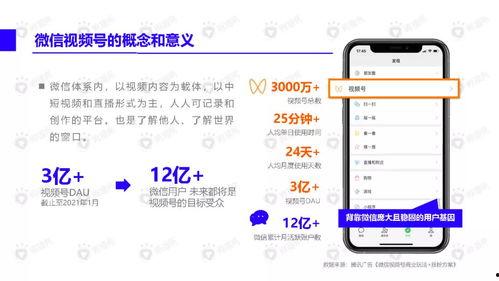 神仙老师吃瓜视频下载,揭秘娱乐圈幕后故事
