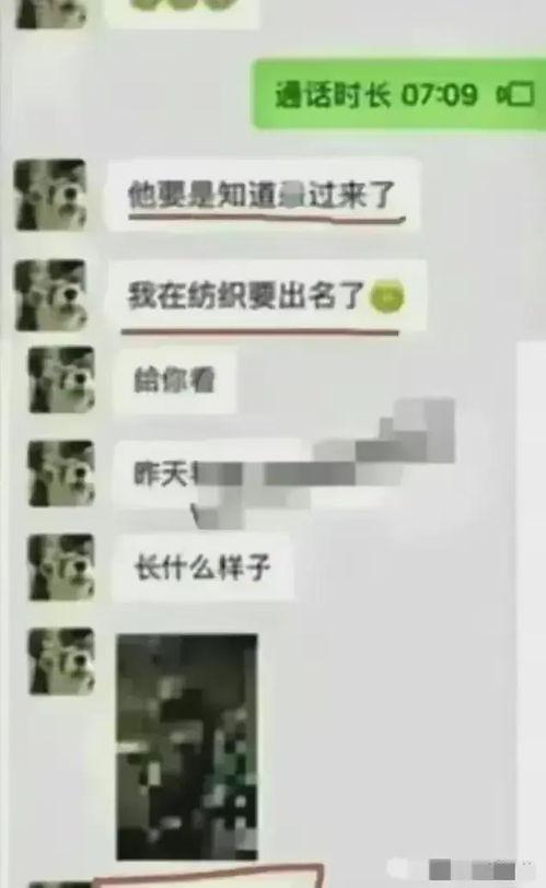 吃瓜网站聊天记录及视频,聊天记录与视频背后的惊人真相