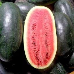 黑色海瓜怎么吃最好吃视频,视频教你最佳食用方法