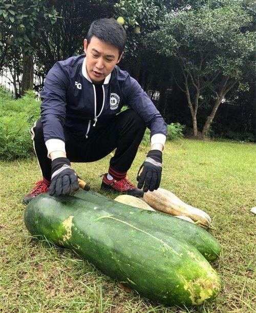 嘉兴被爆吃瓜视频曝光,一场引发网友热议的街头事件