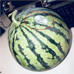 网红吃瓜视频最新,揭秘娱乐圈最新热点事件！