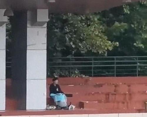 勉县吃瓜事件视频最新,一场网络热议背后的真相与反思