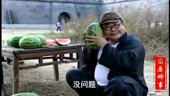 邢台清河吃瓜事件视频,一场网络热议的真相探寻